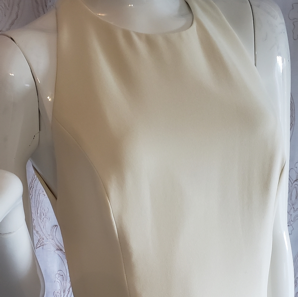 Open Back Form Fitting Cache Dress - image 7